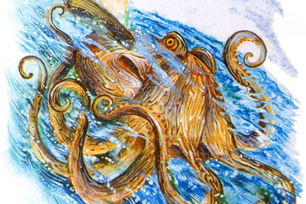 Kraken 23at