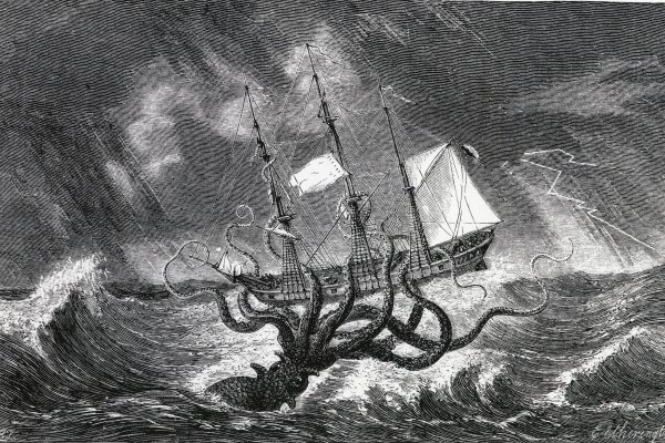 Kraken 14at